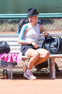 Bild 31 - RL TC an der Schirnau - SV Zehlendorfer Wespen : Ergebnis: 9:0